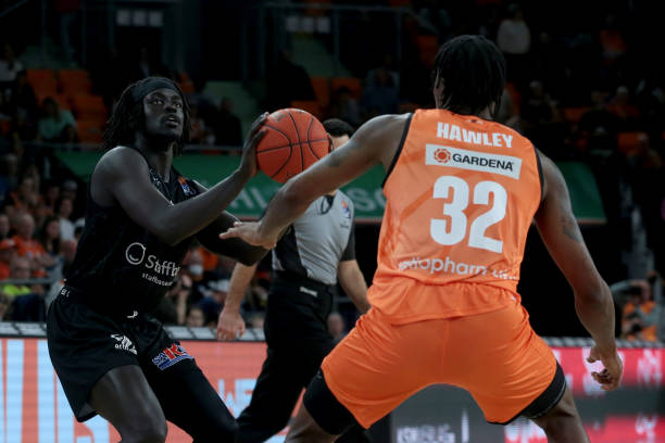 大胆的战略 大胆的战略