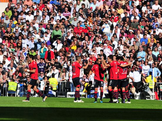 棉民族的智 棉民族的智